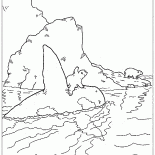 Lars and killer whales