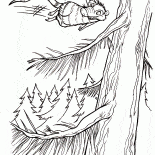 Flying possum