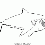 Bruce the Shark