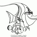 Scar and Nemo