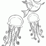 Dori and jellyfish