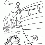 Too many boats