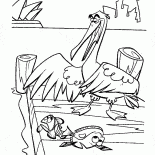 Heron hunting