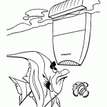 The water filter