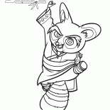 Master Shifu