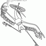 Master Crane
