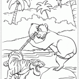 Battle of Shere Khan and Baloo