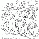 A flock of elephants