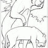 Baloo and Bagheera to find