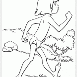 Mowgli travel safely