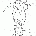 Stallion Spirit