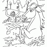Bathing horse
