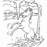 Spirits first winter