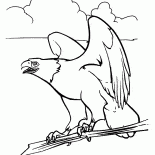 Eagle and Spirit