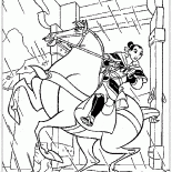 Mulan in combat