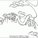 Mushu on vacation