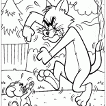 Sparring Tom and Jerry