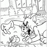 Tom catches Jerry