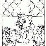 Kitten in trouble