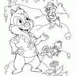 Chip and Dale in the forest
