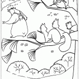 Squirrels and Bear