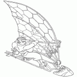 Board with a sail