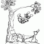 Tigers do not fly