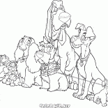 The whole company
