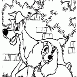 Lady and the Tramp take a walk