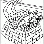Cats in the basket