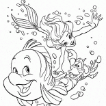 Flounder Sebastian and The Little Mermaid