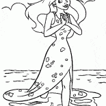 The legs and no tail