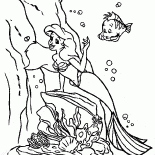 The Little Mermaid and Flounder
