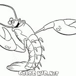 Singing shrimp