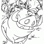 Timon and Pumba