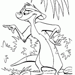 Philosopher-meerkat