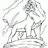 Simba on the rock