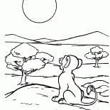 Simba and the sun