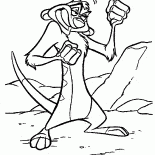 Timon learns to fight