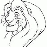 Simba has grown
