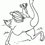 Simba on an ostrich