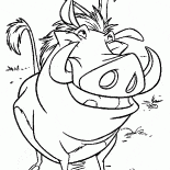 Pumbaa and hilarious meerkat