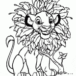 Mane for cub