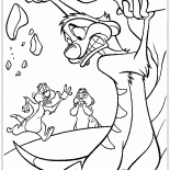 Timon messed up