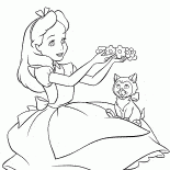 Alice plays with a kitten