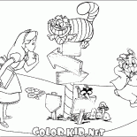 Alice is looking for the road