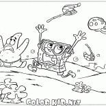 Jellyfish on a chase