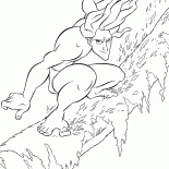 Tarzan in the journey