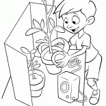 Lewis judges flowers