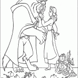 The beauty and the Beast